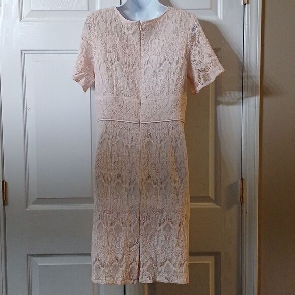 Lovely by Adrianna Papell blush lace dress wedding cruise baby shower Sz 10 NWOT - Picture 4 of 8